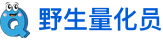 量化交易教程