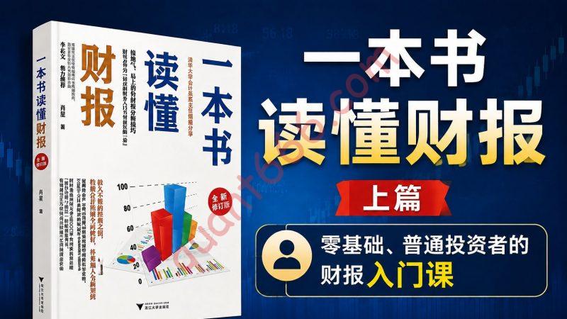《一本书读懂财报》 上篇:零基础、普通投资者的财报入门课-野生量化员